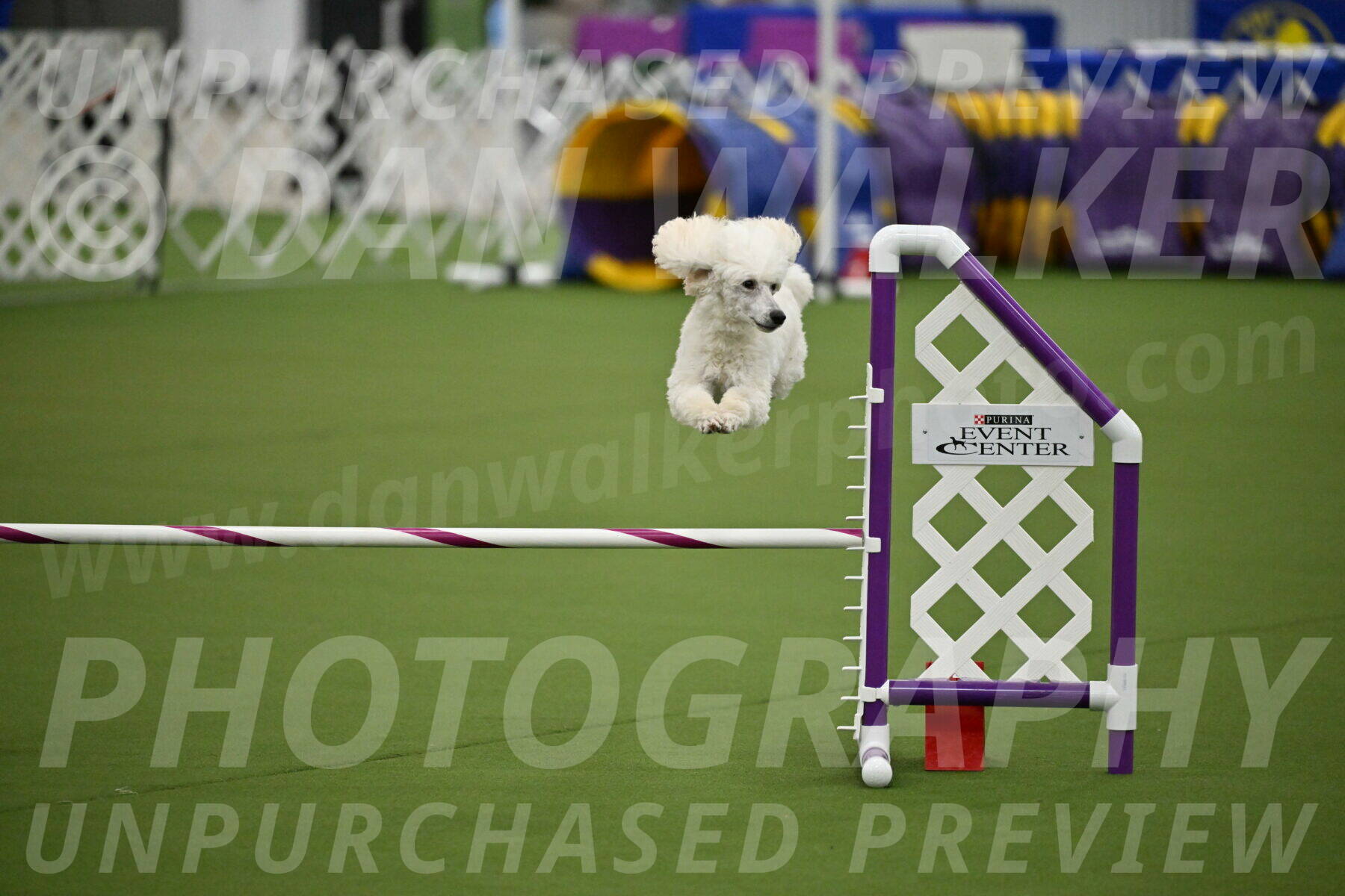 MAS-EX-JWW-16-Inch_2104