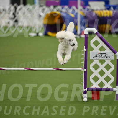 MAS-EX-JWW-16-Inch_2105