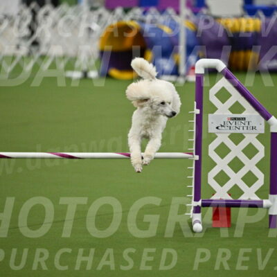 MAS-EX-JWW-16-Inch_2106