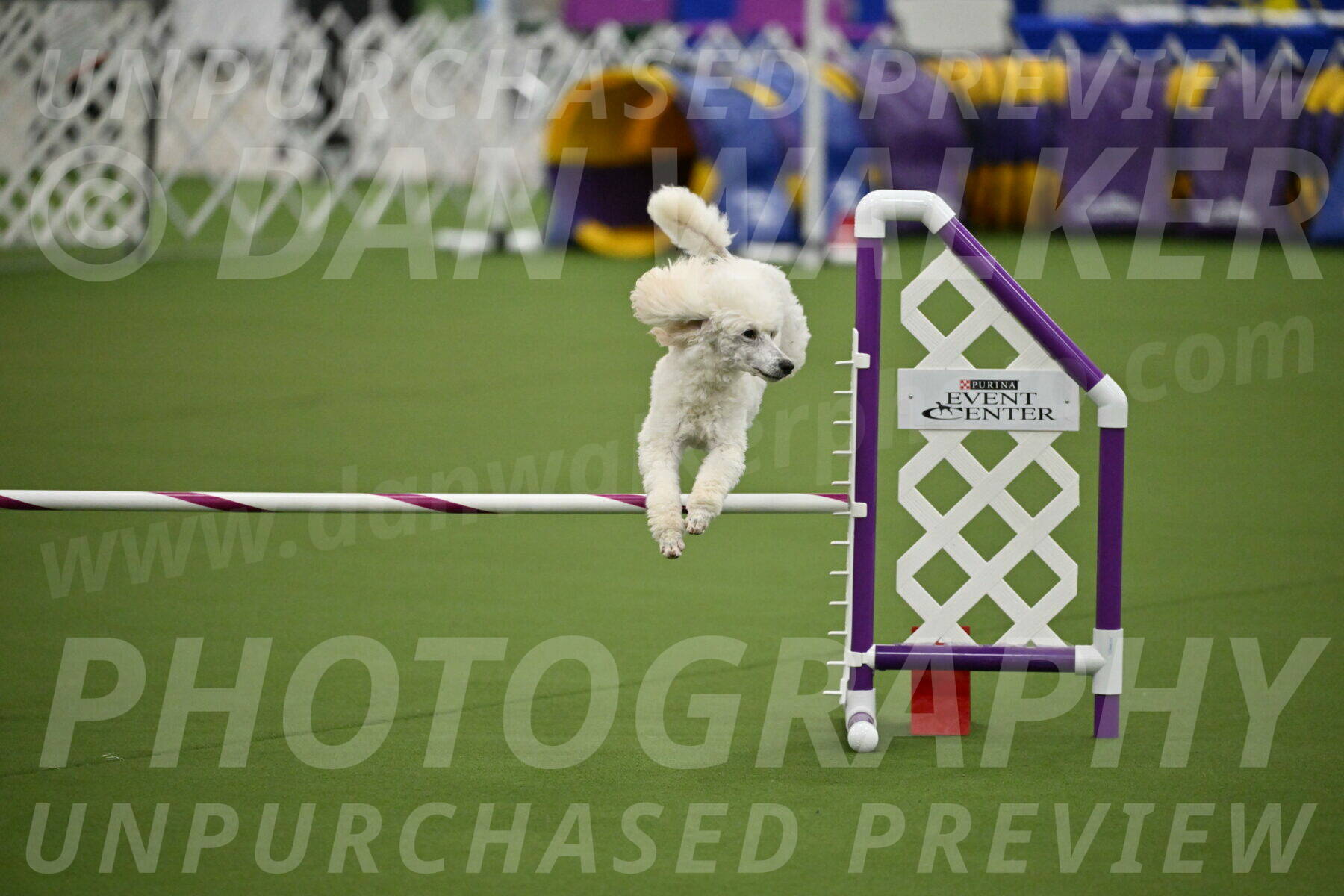 MAS-EX-JWW-16-Inch_2106