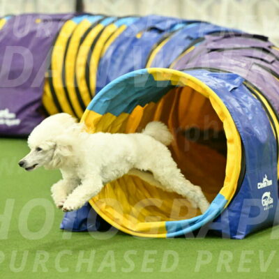 MAS-EX-JWW-16-Inch_2111