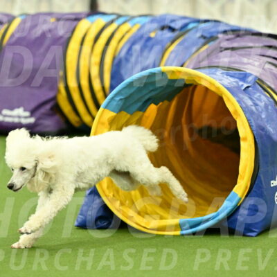 MAS-EX-JWW-16-Inch_2112