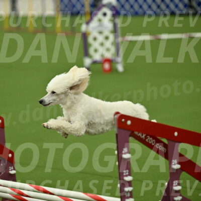 MAS-EX-JWW-16-Inch_2123