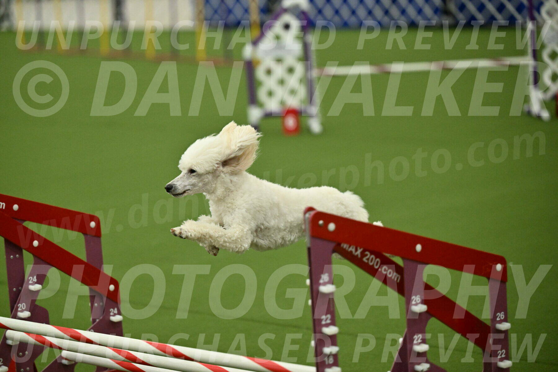 MAS-EX-JWW-16-Inch_2123