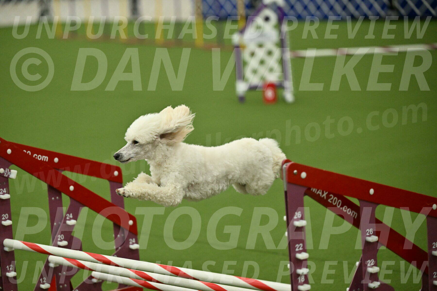 MAS-EX-JWW-16-Inch_2124