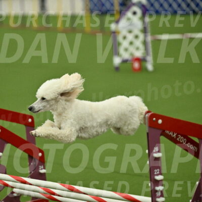 MAS-EX-JWW-16-Inch_2124