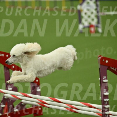 MAS-EX-JWW-16-Inch_2125