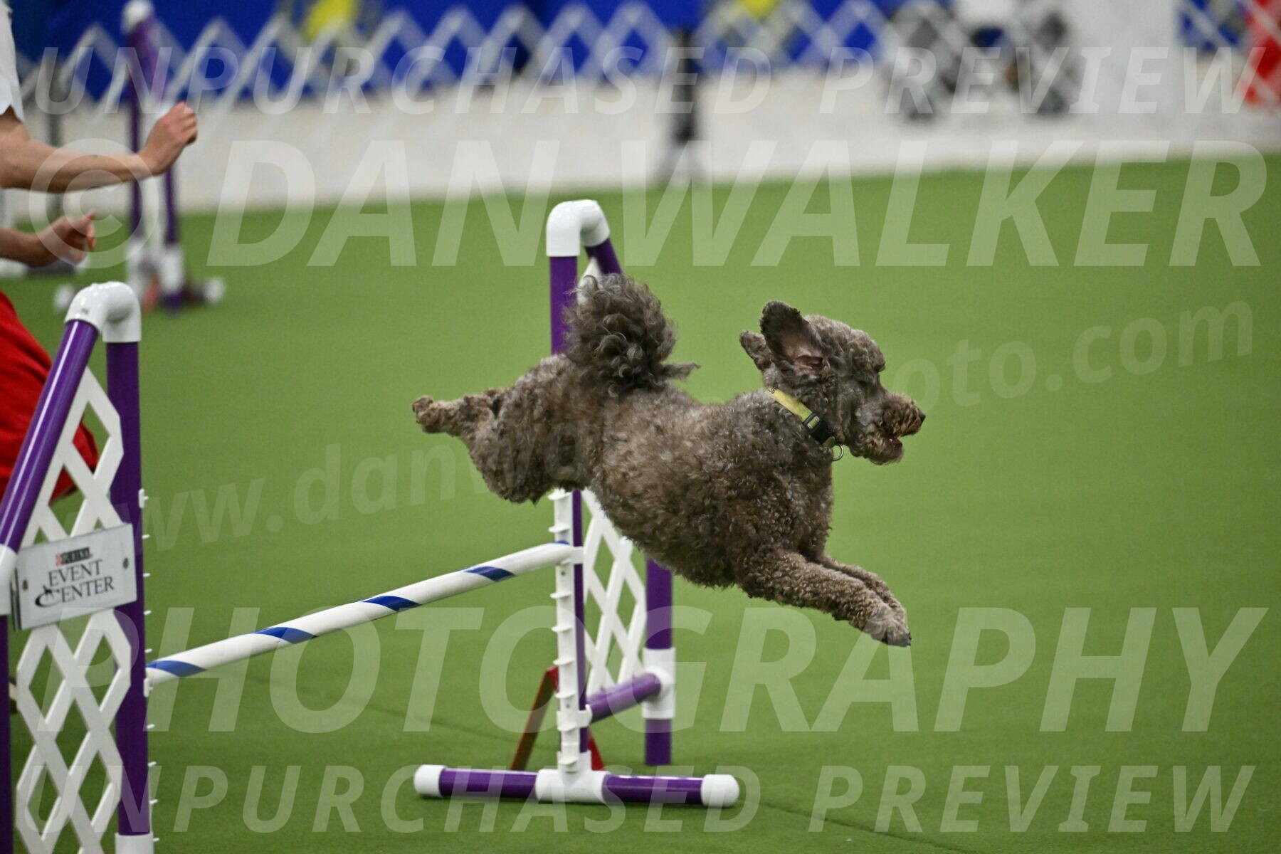 MAS-EX-JWW-16-Inch_2140