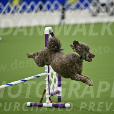 MAS-EX-JWW-16-Inch_2140