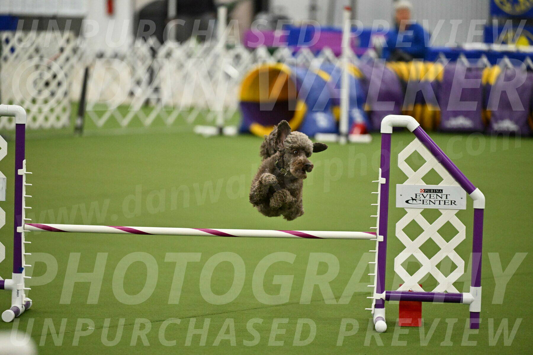 MAS-EX-JWW-16-Inch_2142