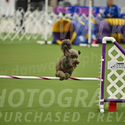 MAS-EX-JWW-16-Inch_2144