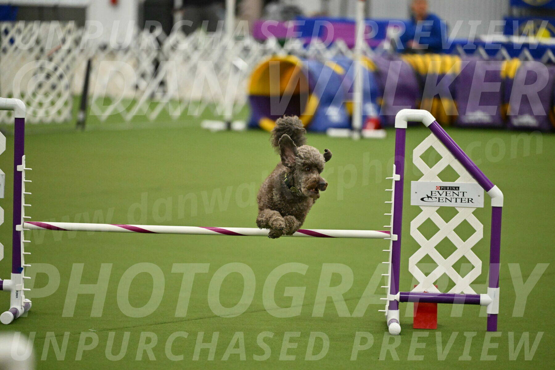 MAS-EX-JWW-16-Inch_2144