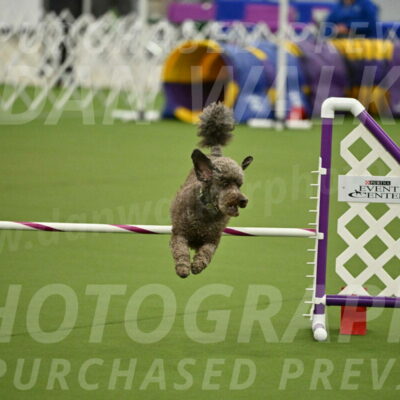 MAS-EX-JWW-16-Inch_2145