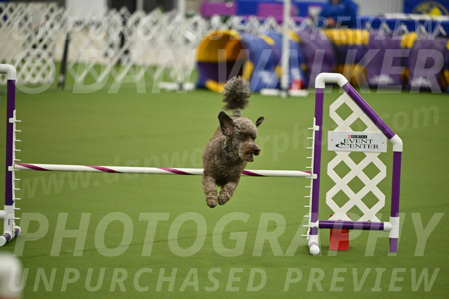 MAS-EX-JWW-16-Inch_2145