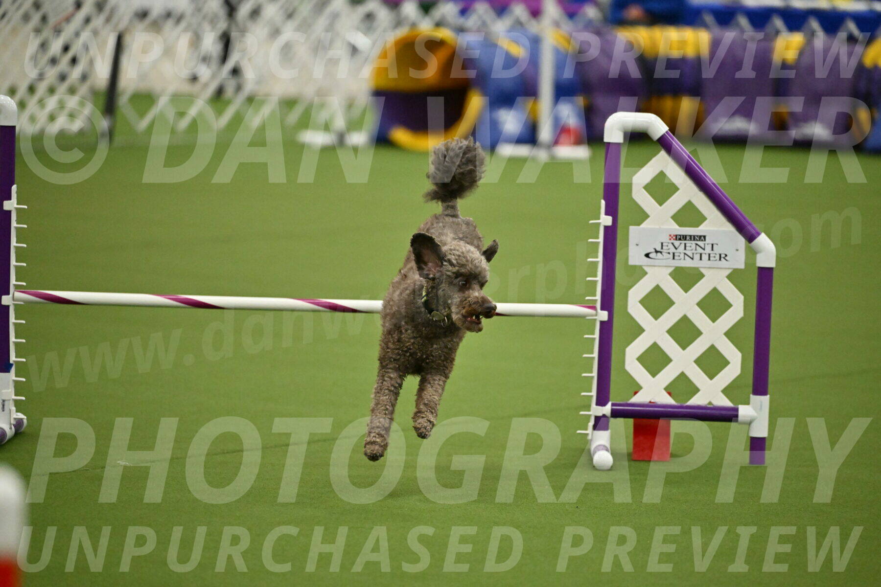 MAS-EX-JWW-16-Inch_2146