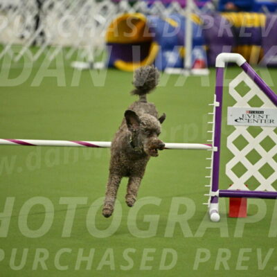 MAS-EX-JWW-16-Inch_2146