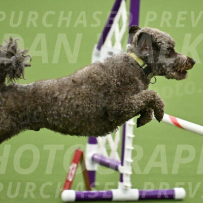 MAS-EX-JWW-16-Inch_2149