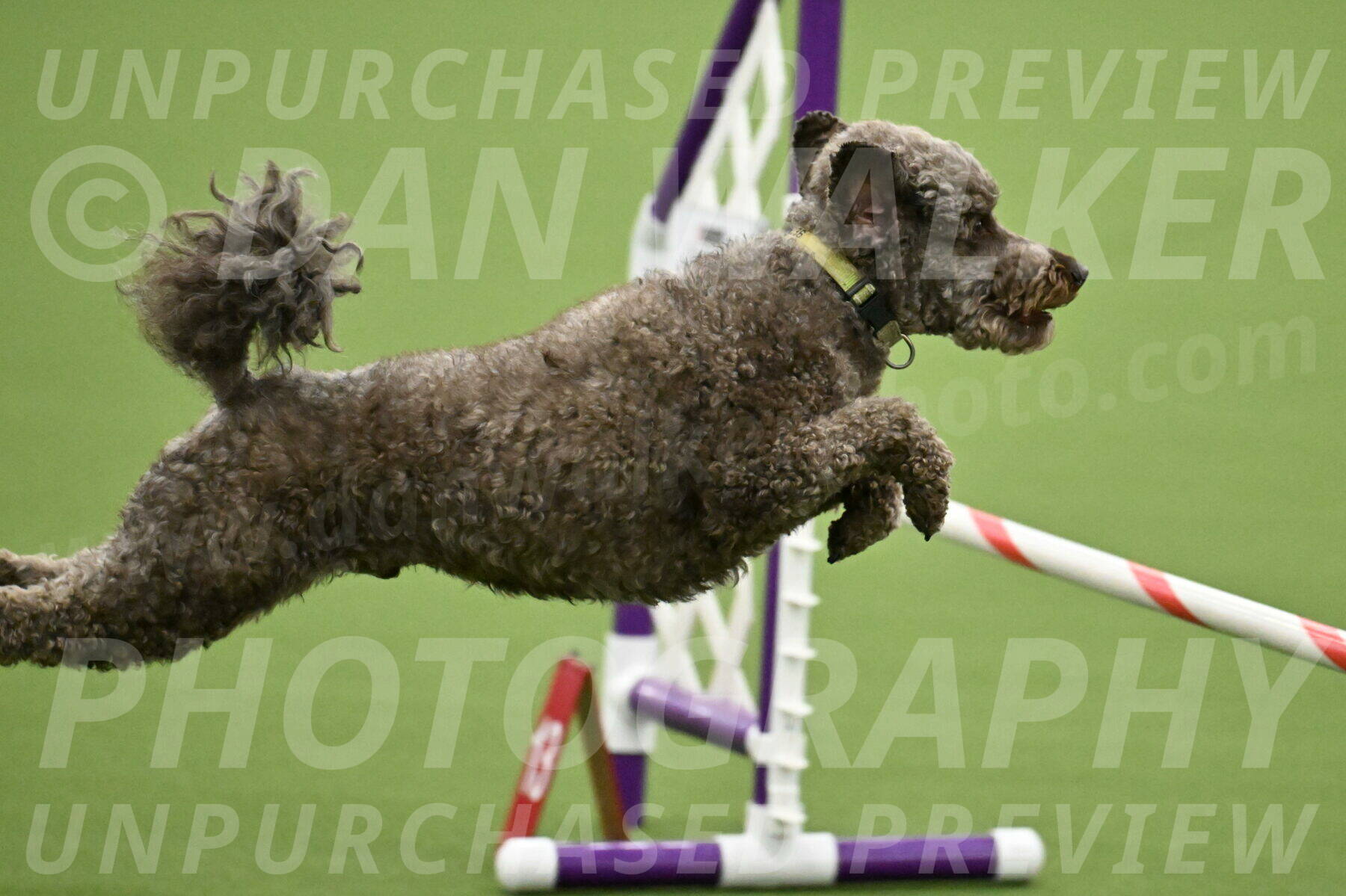 MAS-EX-JWW-16-Inch_2149