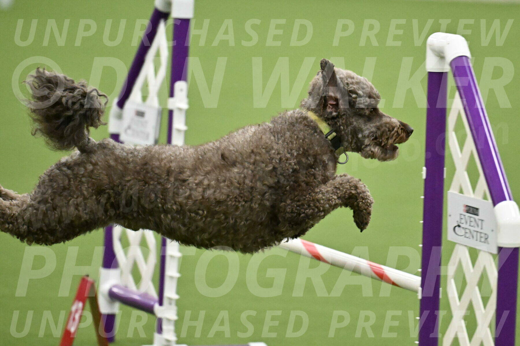 MAS-EX-JWW-16-Inch_2150