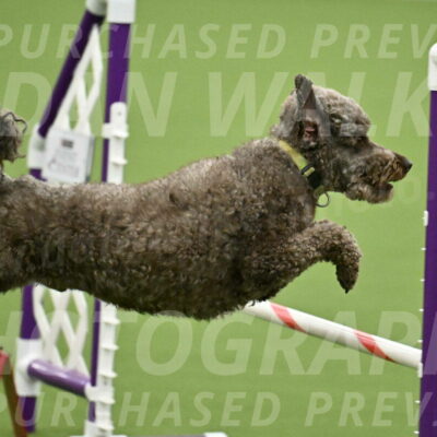 MAS-EX-JWW-16-Inch_2150