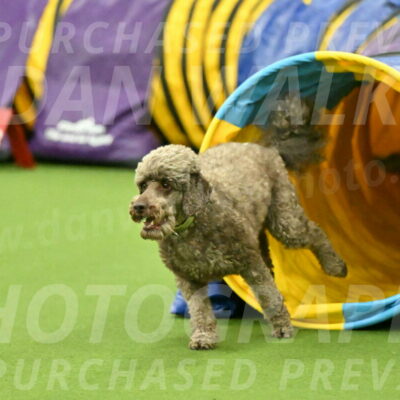 MAS-EX-JWW-16-Inch_2154