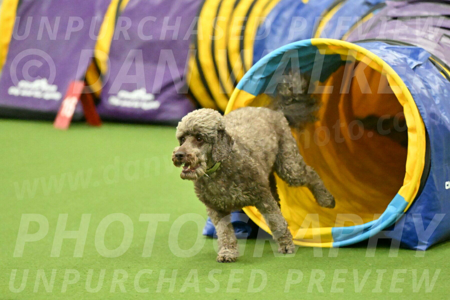 MAS-EX-JWW-16-Inch_2154