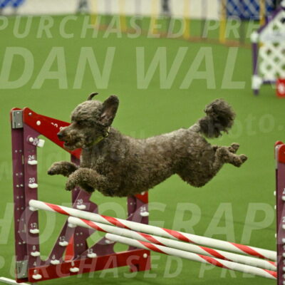 MAS-EX-JWW-16-Inch_2163