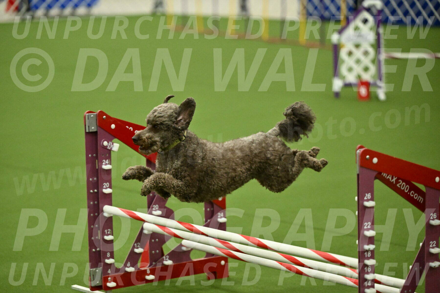 MAS-EX-JWW-16-Inch_2163