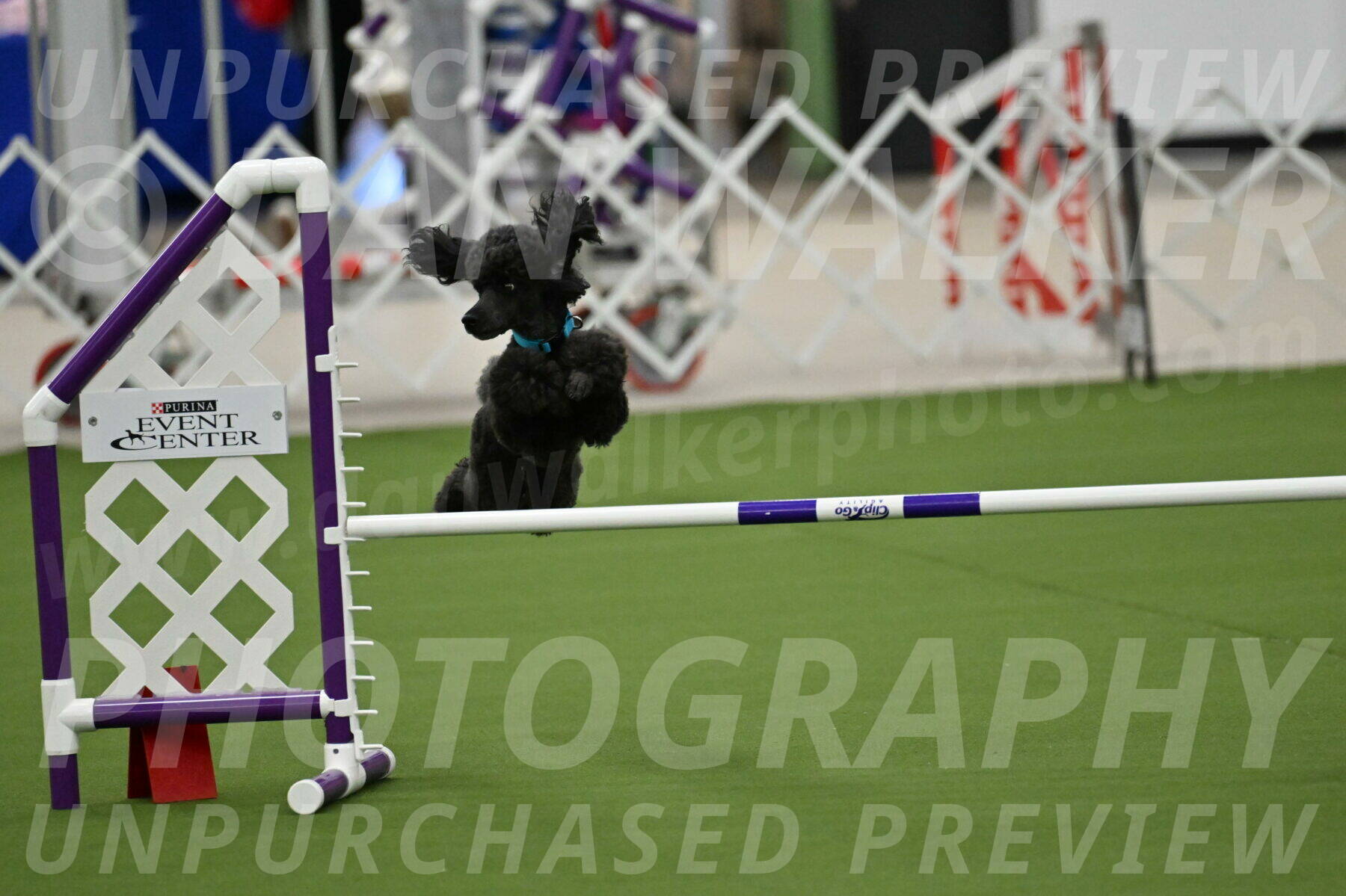 MAS-EX-JWW-16-Inch_2166