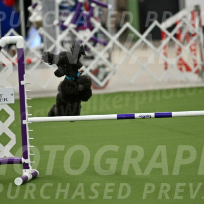 MAS-EX-JWW-16-Inch_2166