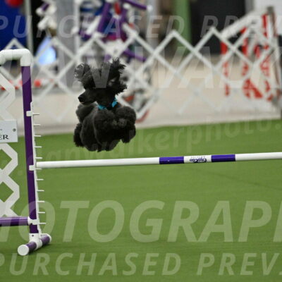 MAS-EX-JWW-16-Inch_2167