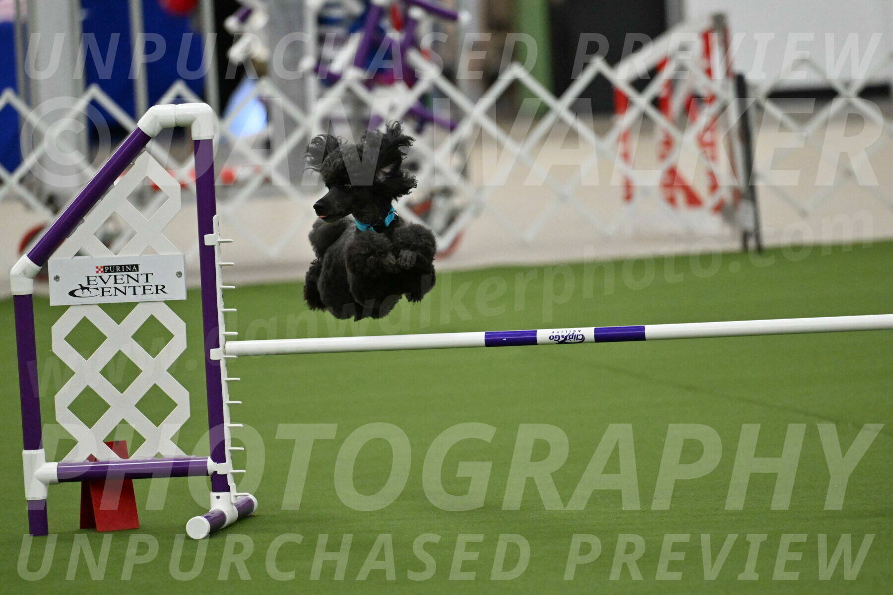 MAS-EX-JWW-16-Inch_2167