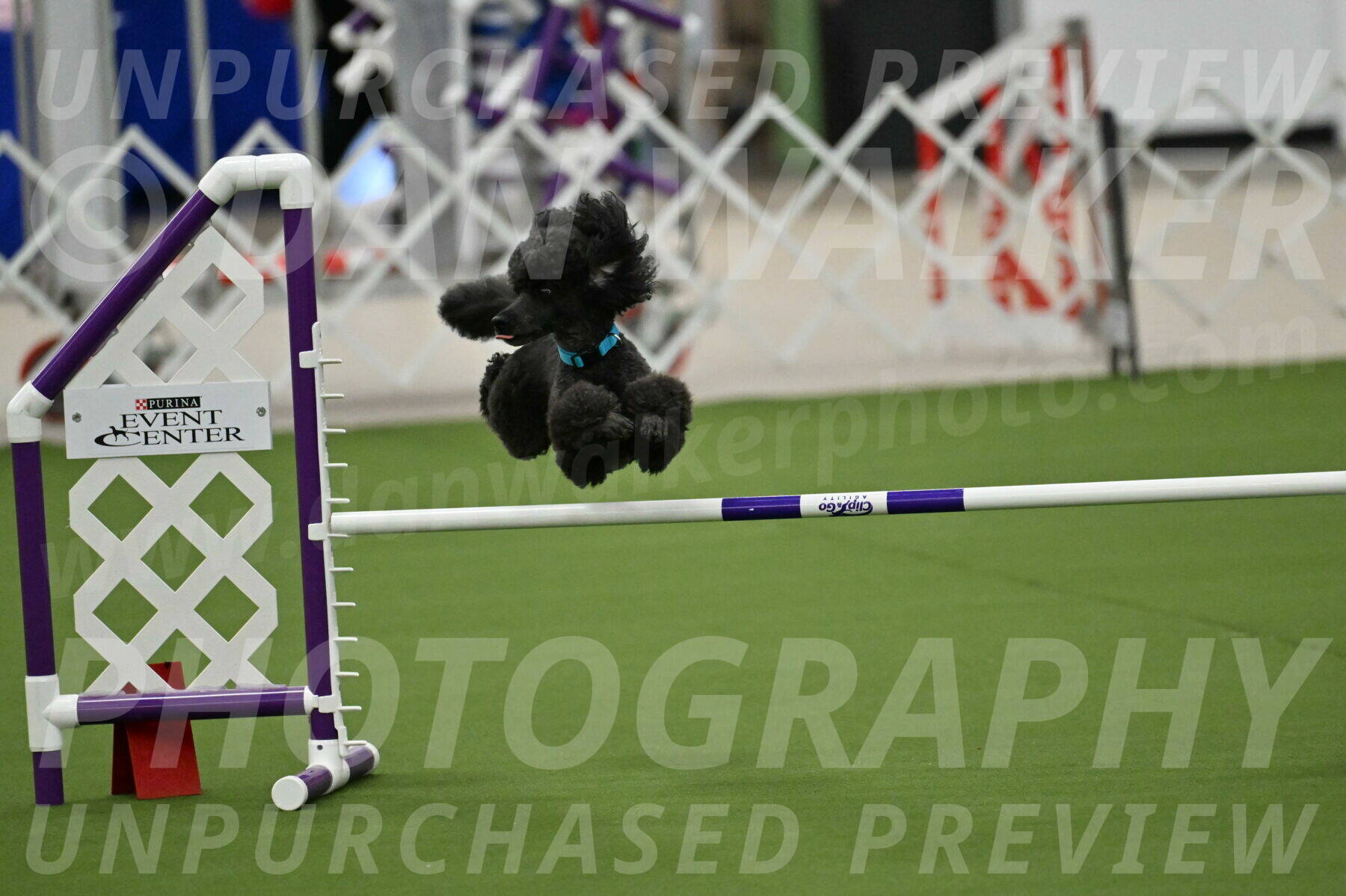 MAS-EX-JWW-16-Inch_2168