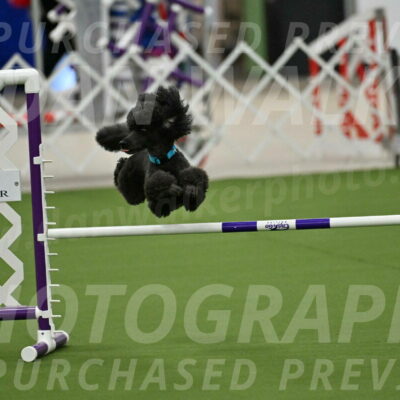 MAS-EX-JWW-16-Inch_2168