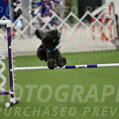 MAS-EX-JWW-16-Inch_2169