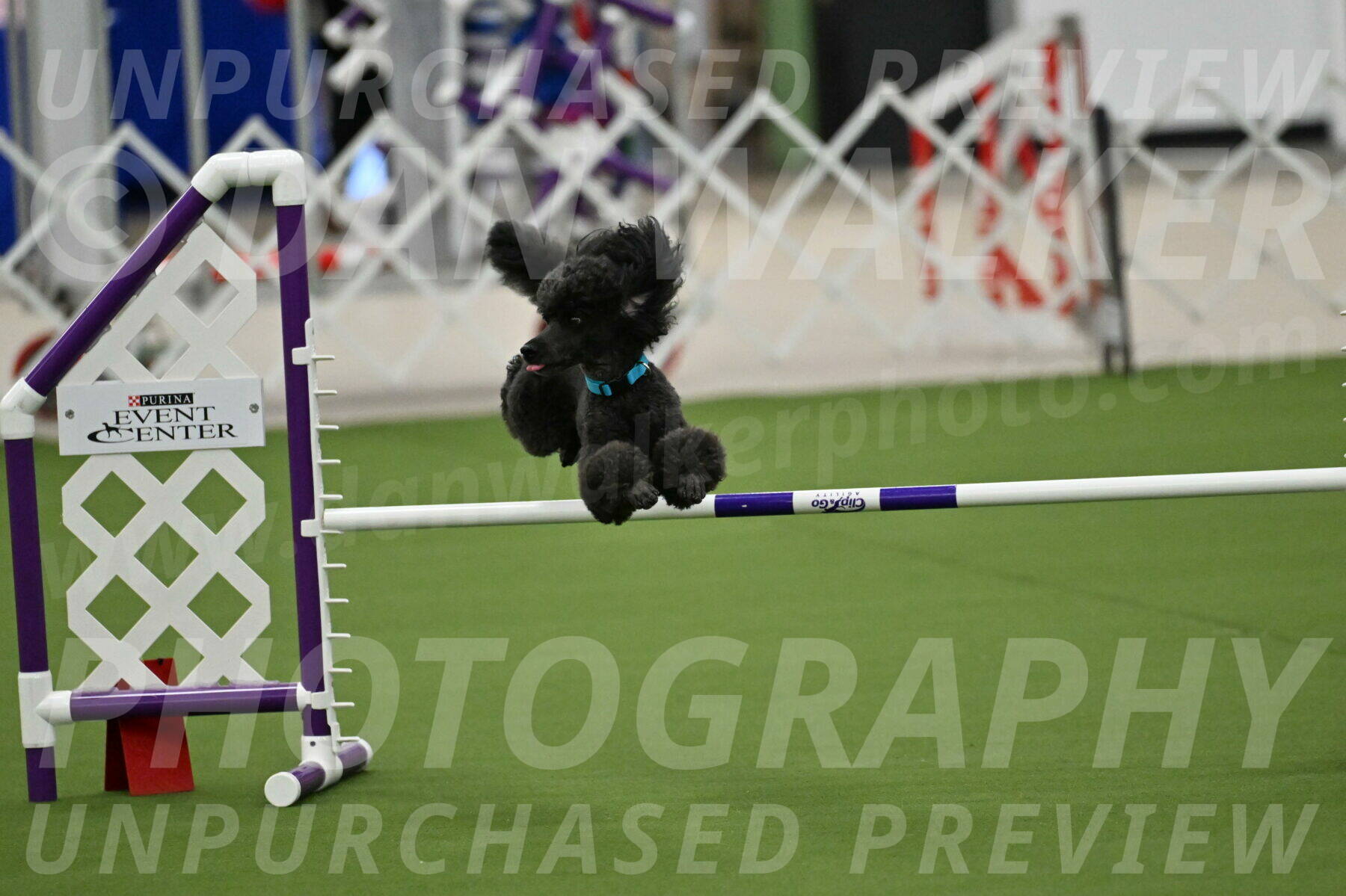 MAS-EX-JWW-16-Inch_2169