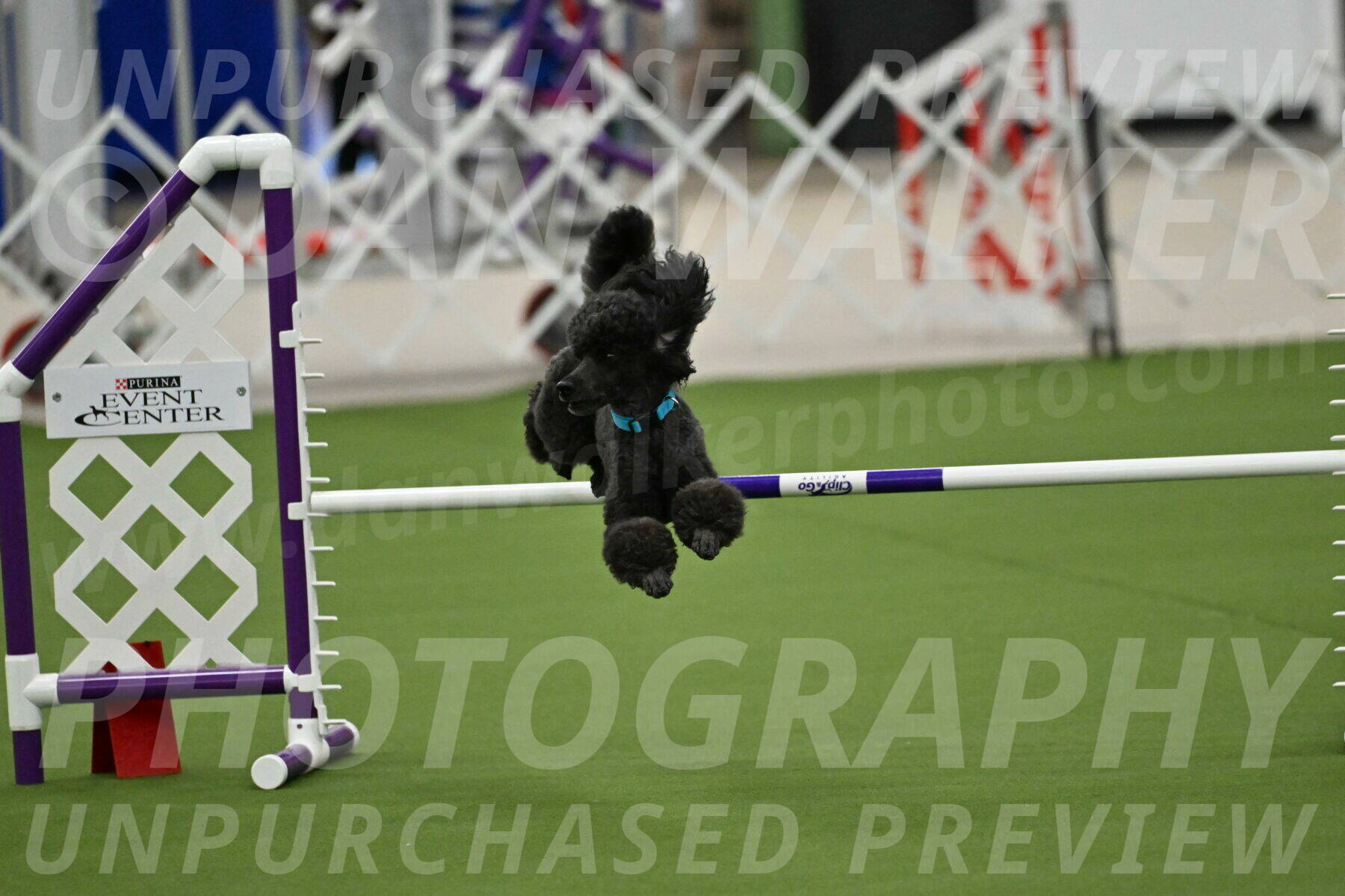 MAS-EX-JWW-16-Inch_2170