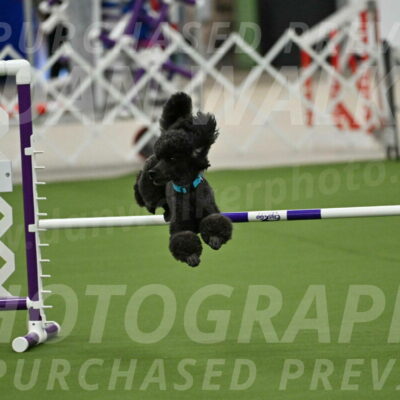 MAS-EX-JWW-16-Inch_2170