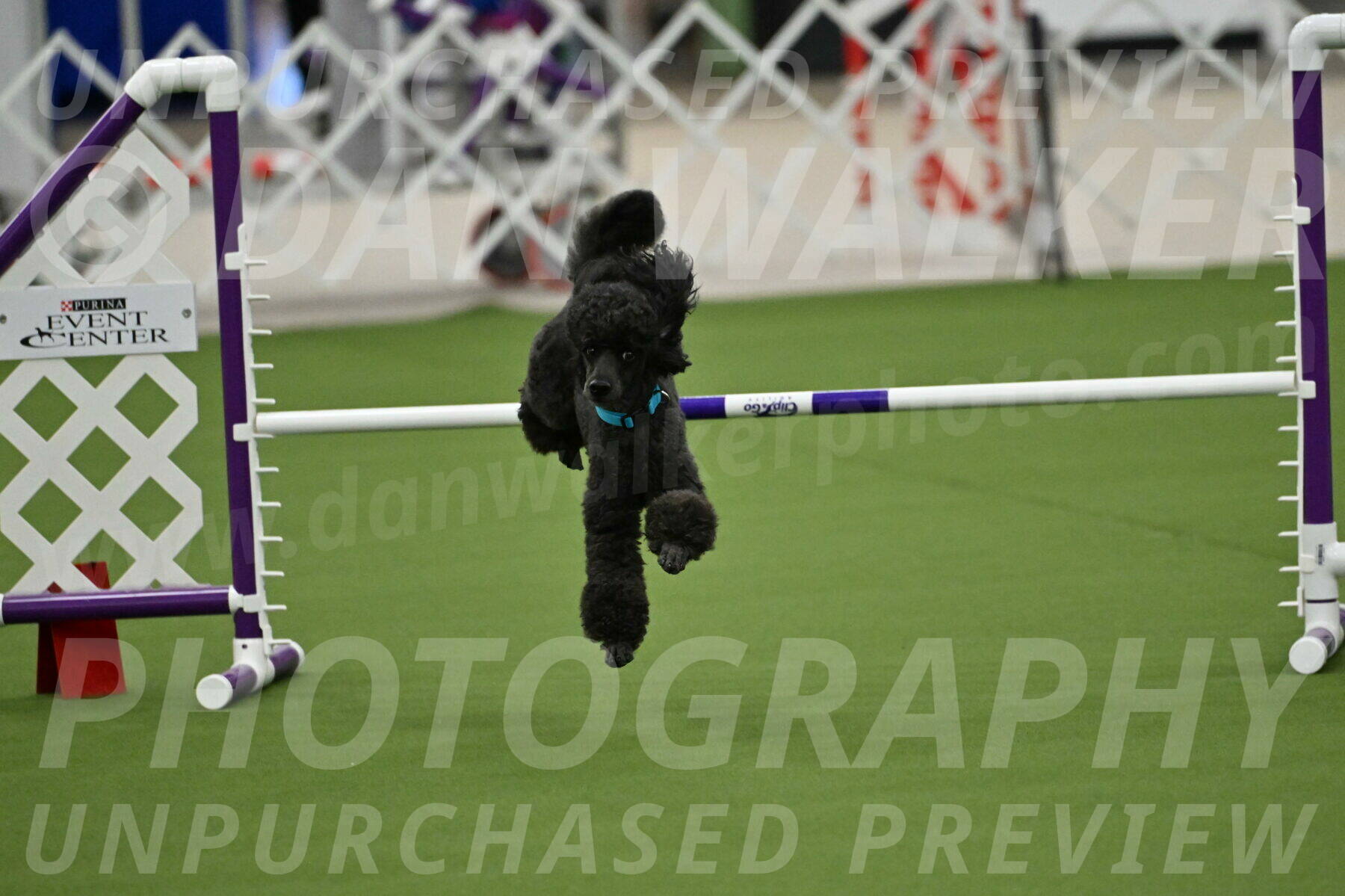 MAS-EX-JWW-16-Inch_2171