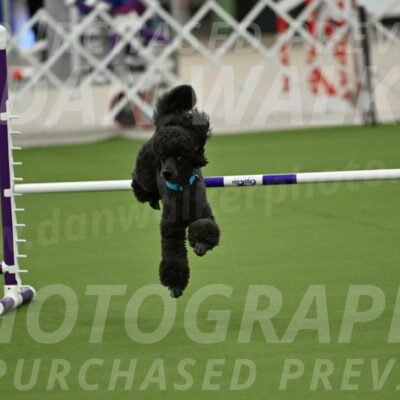 MAS-EX-JWW-16-Inch_2171