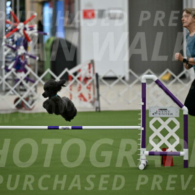 MAS-EX-JWW-16-Inch_2176