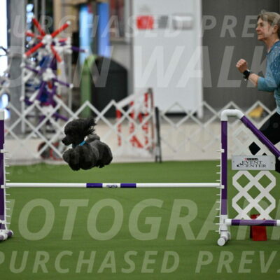 MAS-EX-JWW-16-Inch_2177