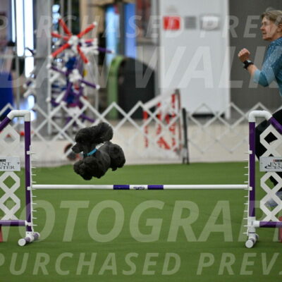 MAS-EX-JWW-16-Inch_2178