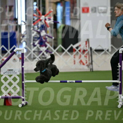 MAS-EX-JWW-16-Inch_2179