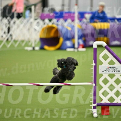 MAS-EX-JWW-16-Inch_2195