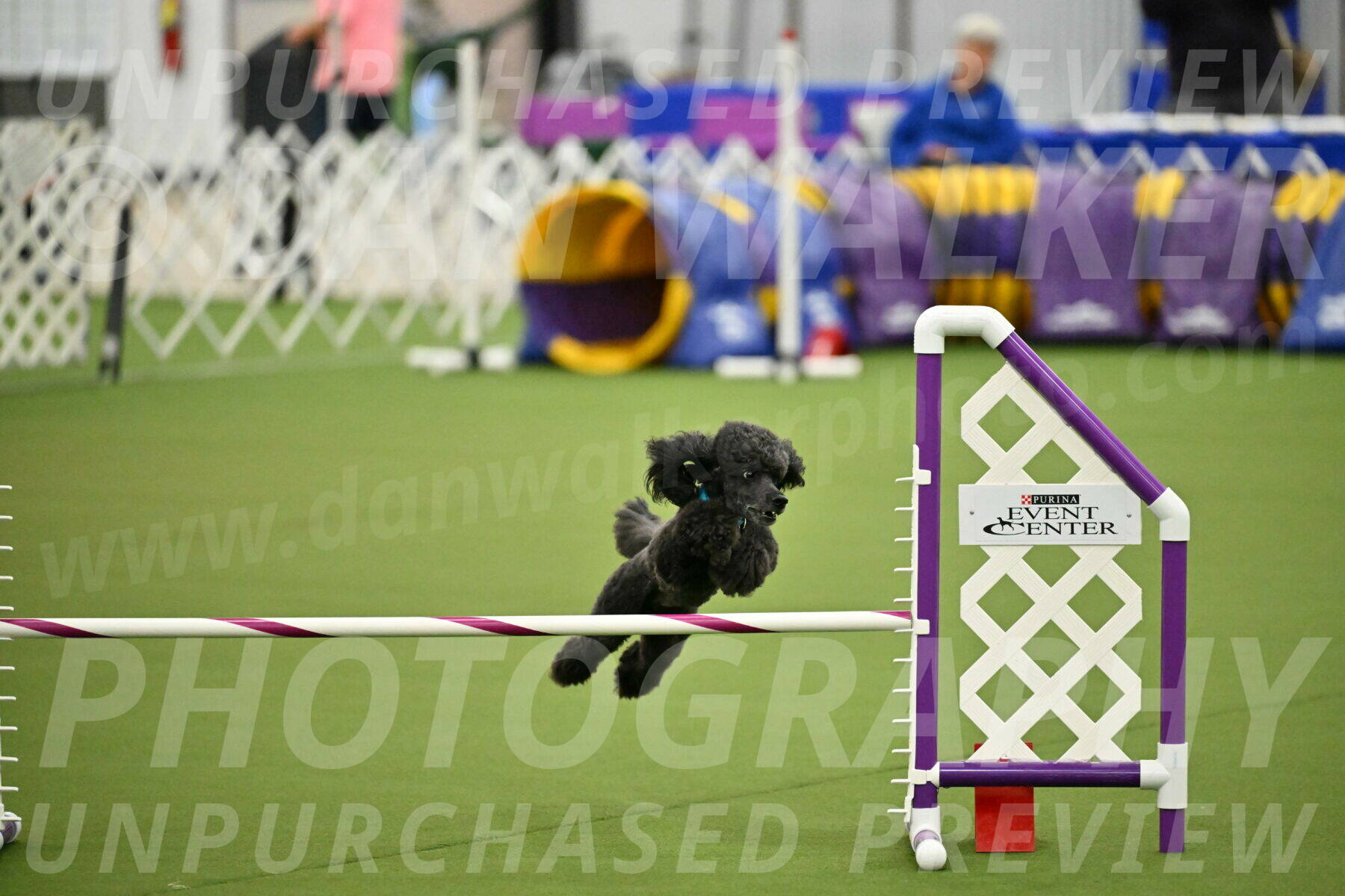 MAS-EX-JWW-16-Inch_2195