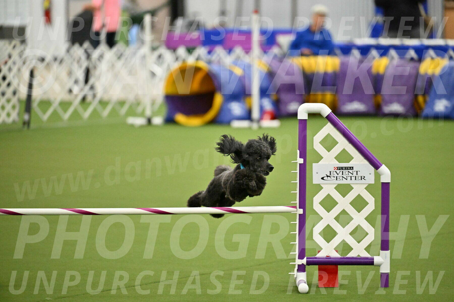 MAS-EX-JWW-16-Inch_2196