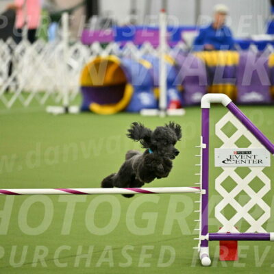 MAS-EX-JWW-16-Inch_2196