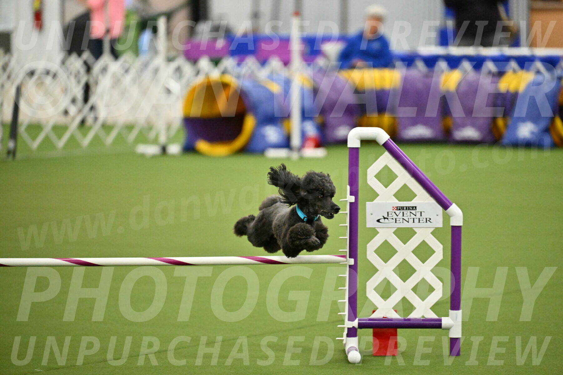 MAS-EX-JWW-16-Inch_2197