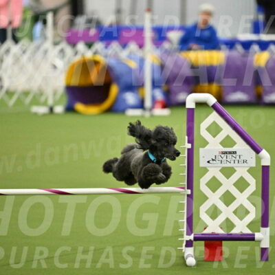 MAS-EX-JWW-16-Inch_2197